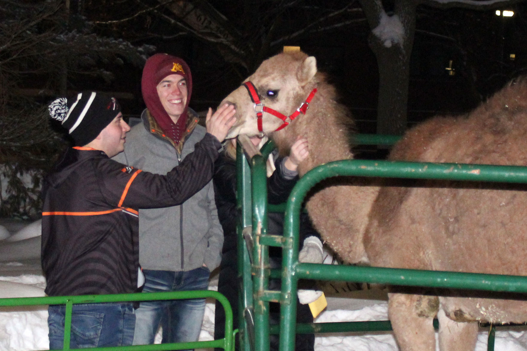 Menomonie WinterDaze Parade 12-12-19